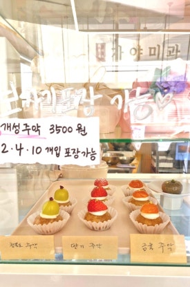 가야미과 이미지