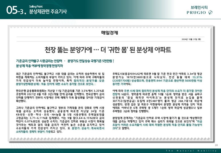 브레인시티솔루션 이미지