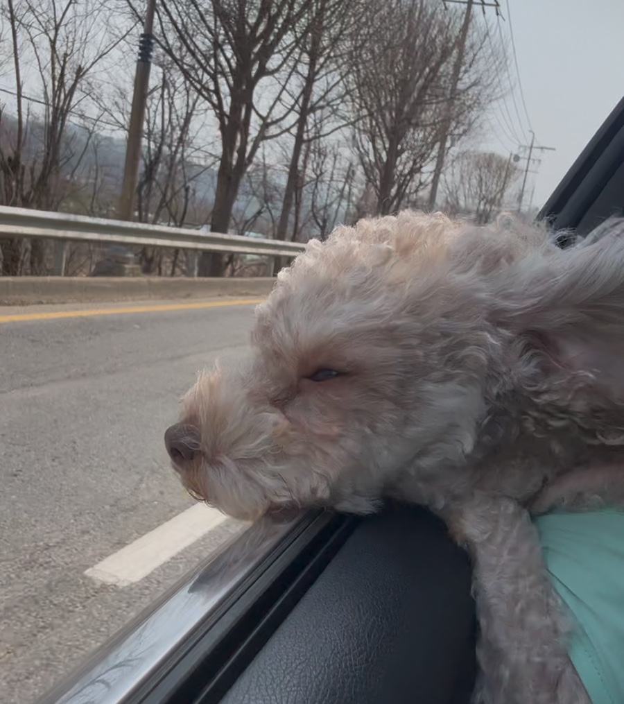 불당리327 이미지