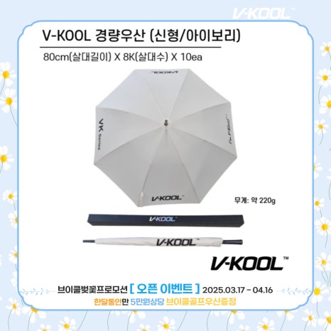 브로모터스 이미지