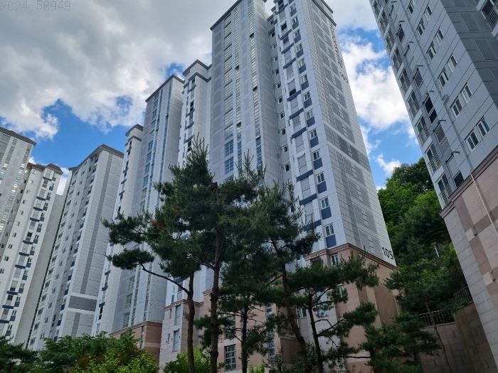 벌원초등학교 이미지