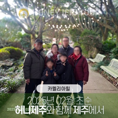 제주다정여행사 이미지