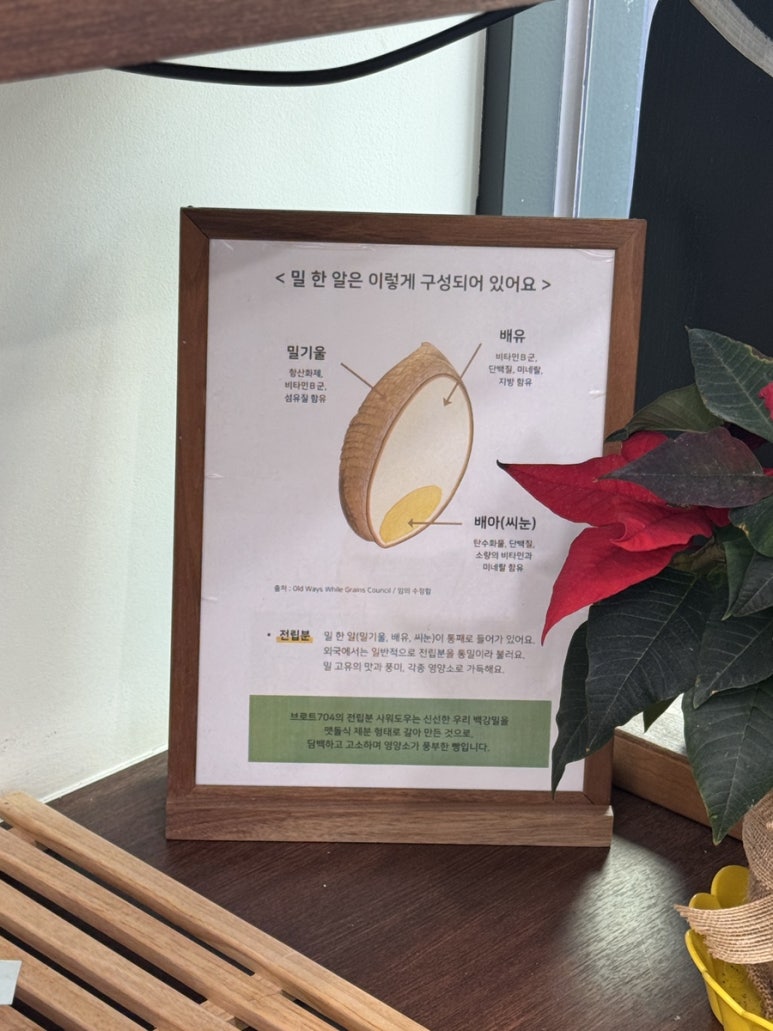 브로트704 이미지