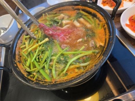 등촌샤브칼국수진주역점 이미지