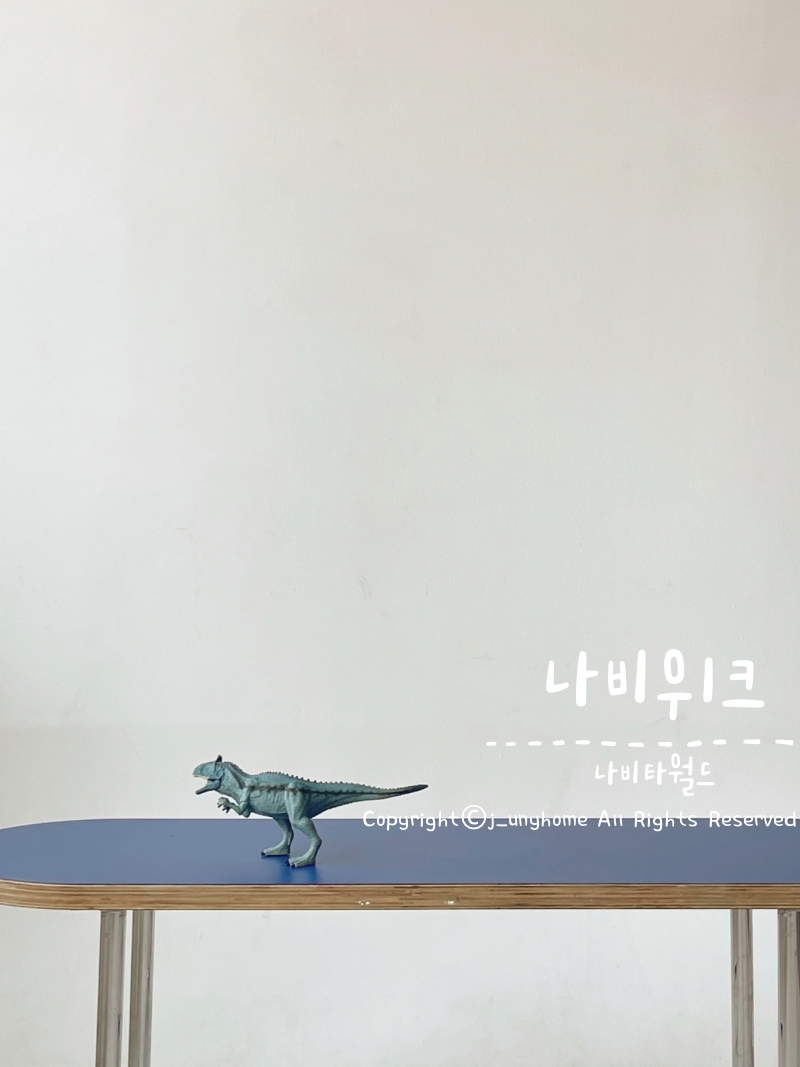 (주)나비타월드 이미지