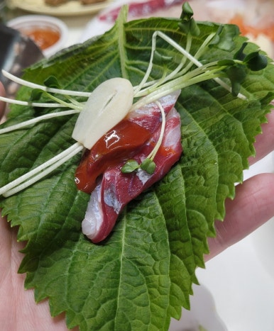 속초오징어어시장 이미지
