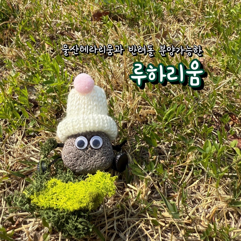 루하리움 이미지