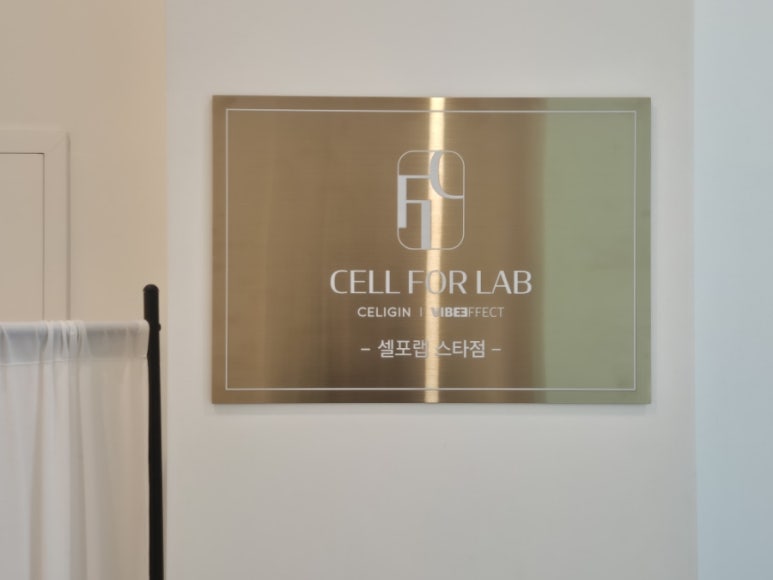 셀포랩스타 이미지