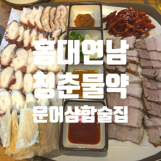 청춘물약 이미지