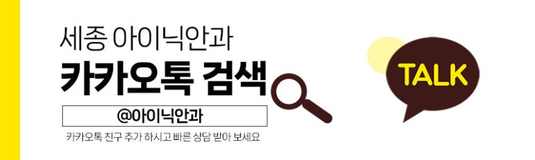 세종안과 이미지