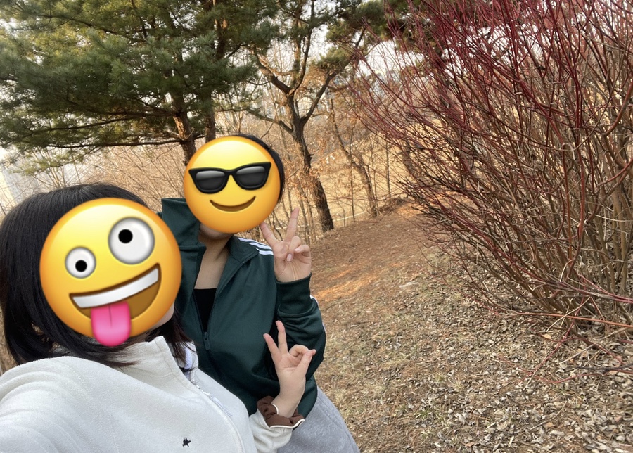 세림노래방 이미지