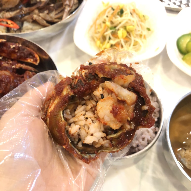 금바우 이미지