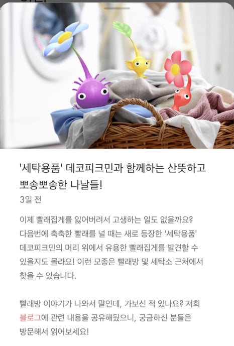 보라세탁소 이미지