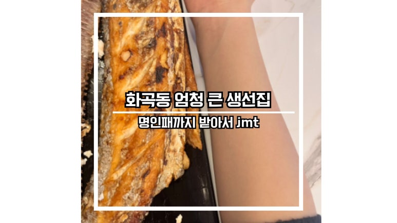 맛있고등어 이미지