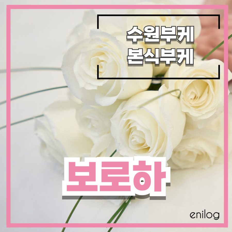 보로하 이미지
