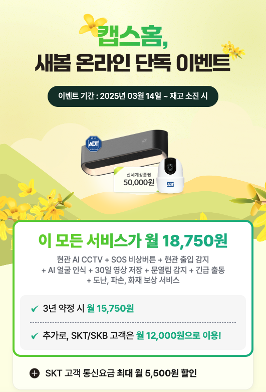 봄CCTV 이미지