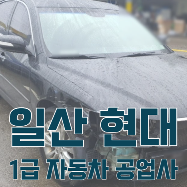 일산서비스기아오토큐 이미지