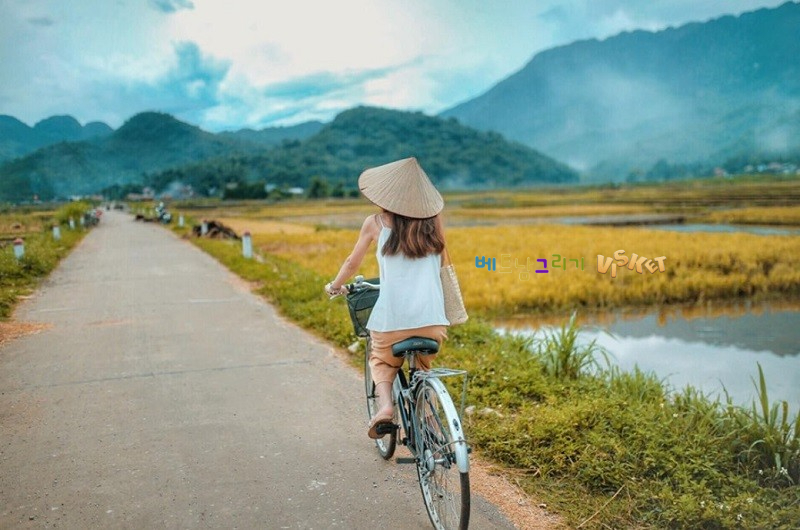 호아빈관 이미지