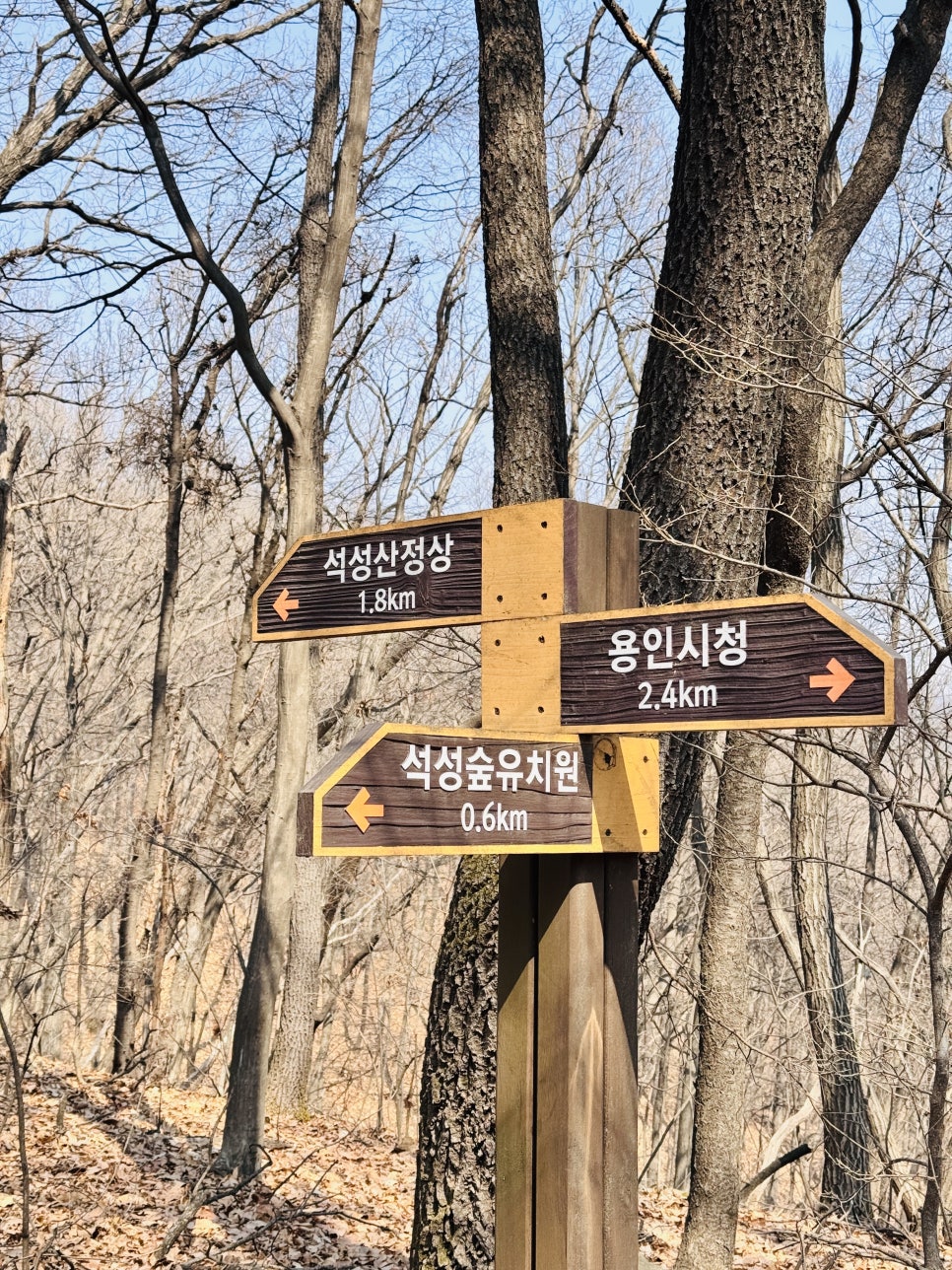 석성숲유치원 이미지