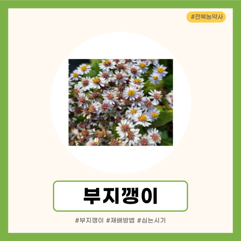 한국농약사 이미지