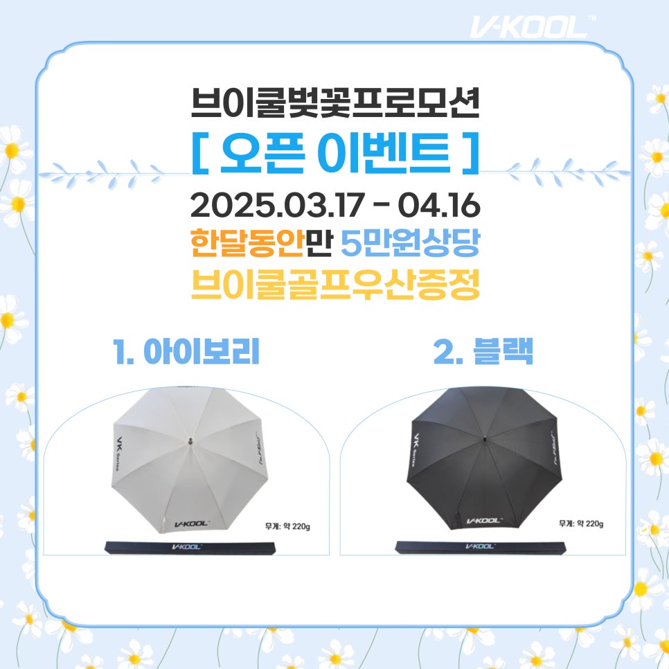 브로모터스 이미지