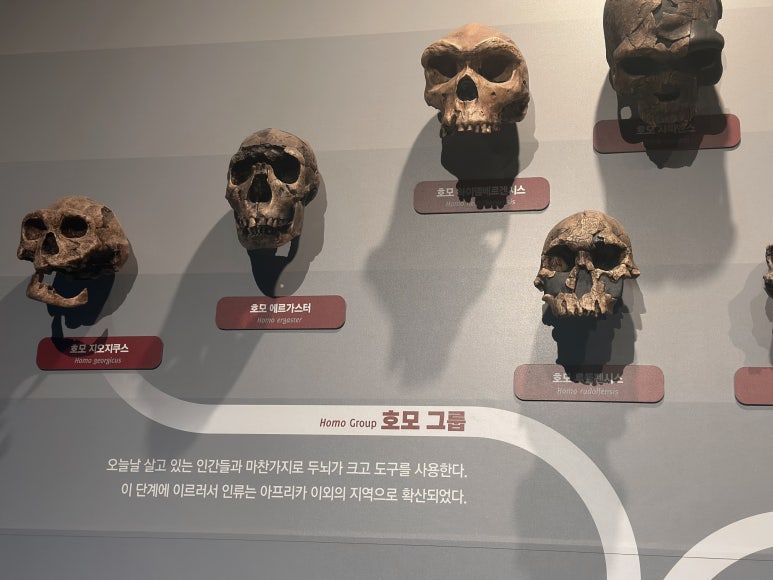 효진모드 이미지