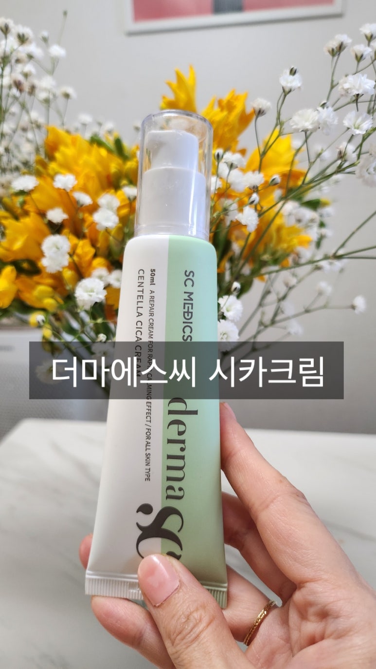 드림에스씨 이미지