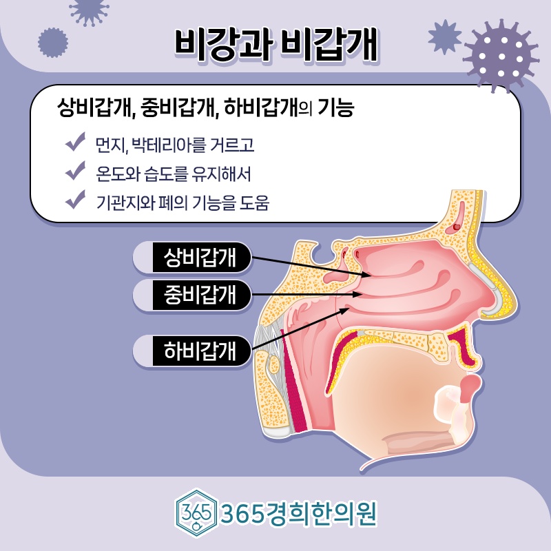 목동경희한의원 이미지