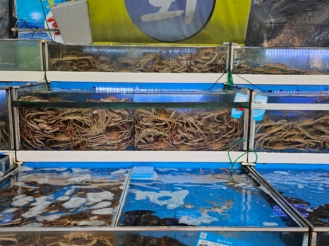 싱싱농수산물 이미지