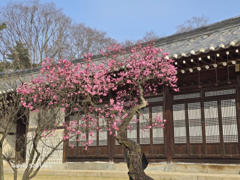 순천자연휴양림 이미지