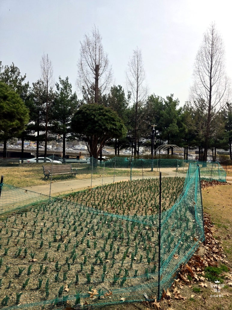 (주)유림 이미지