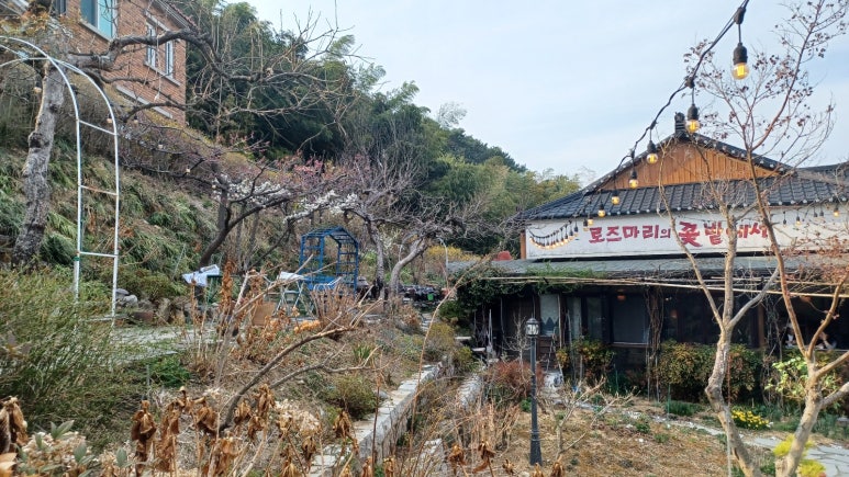 로즈마리의 꽃밭에서 이미지