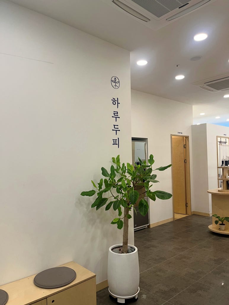 하루두피 동탄역점 이미지