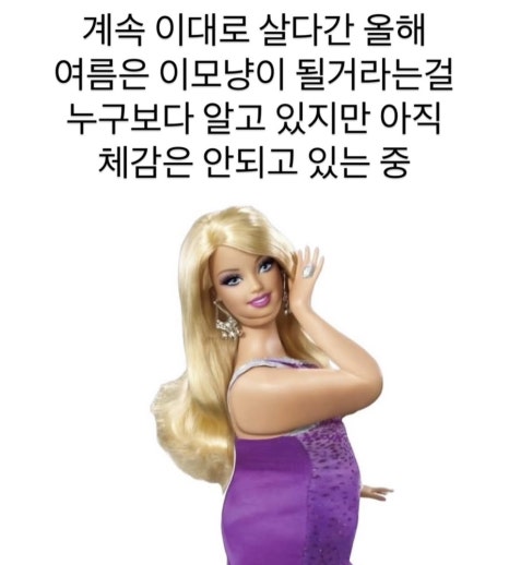 피네FINE 이미지