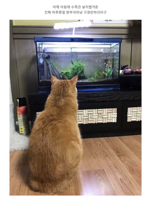 미소짓게해 이미지