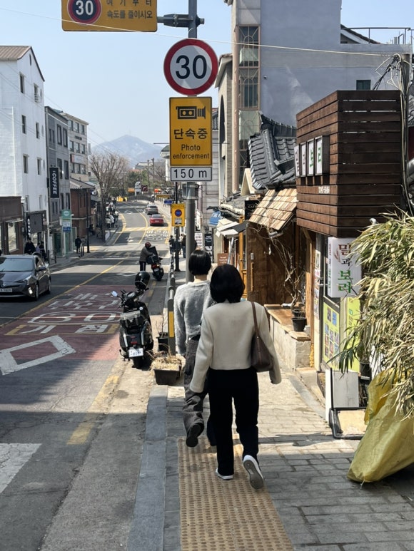 치즈씨 이미지