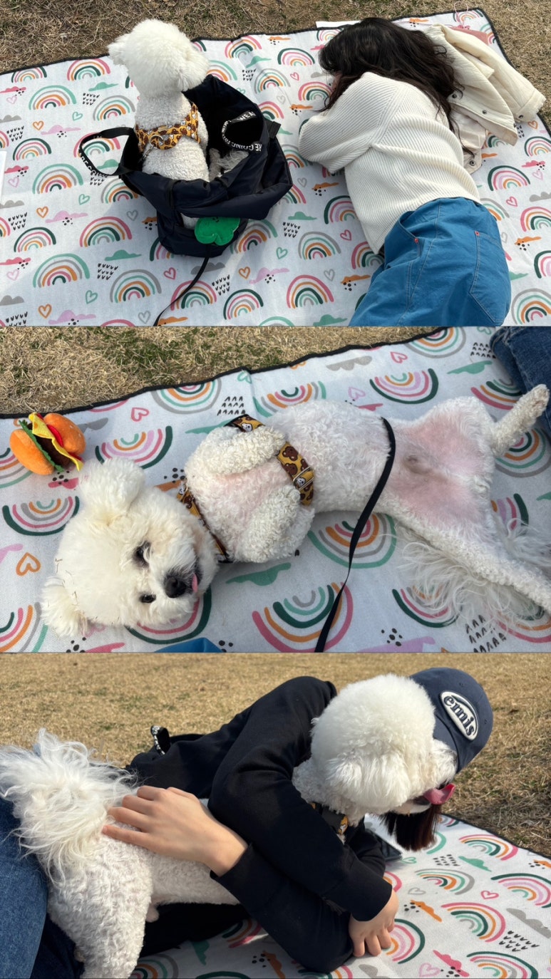 누나인력 이미지