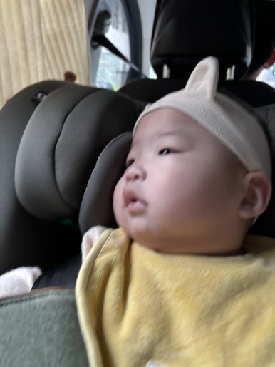 헤이죠이 이미지