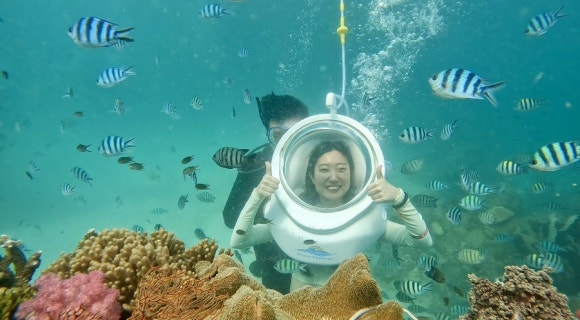 코코넛트레블 이미지