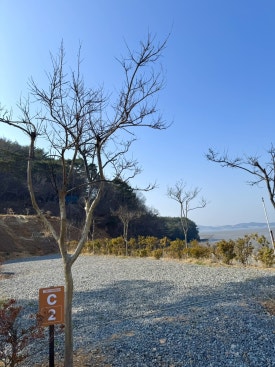 팔봉갯벌체험야영장 이미지