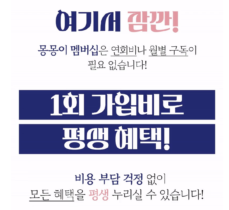 체리몽애견풀빌라 이미지