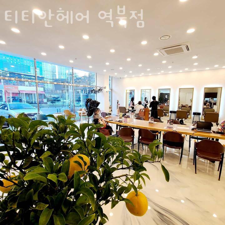 안헤어 이미지
