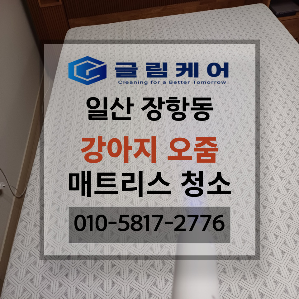 글림케어파주점 이미지