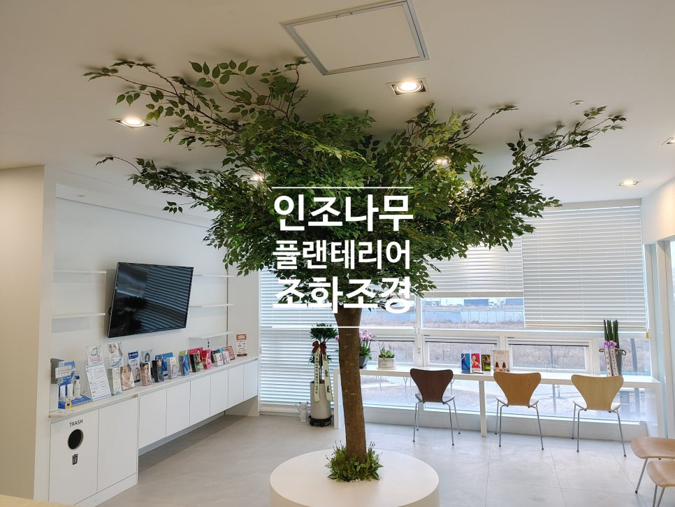 고운빛의원 이미지