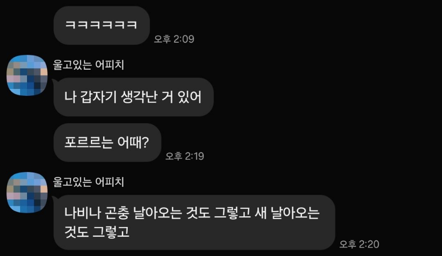 포르르 이미지
