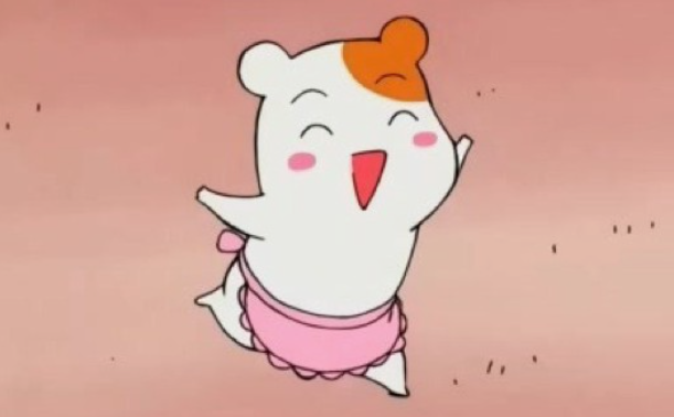 돗꽈비 이미지