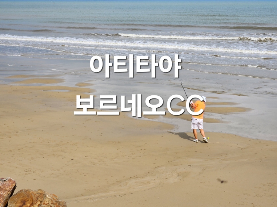 주)아티타야주 이미지