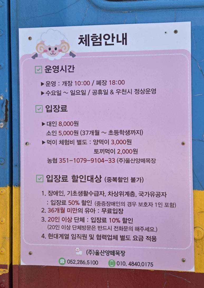 법인울산양떼목장 이미지