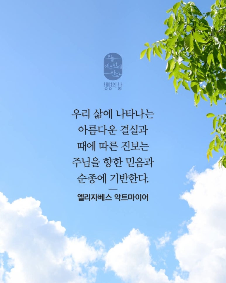 오늘의짐 이미지