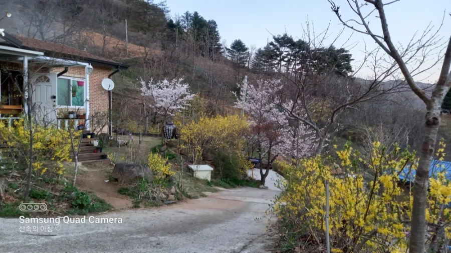 봄.오다 이미지